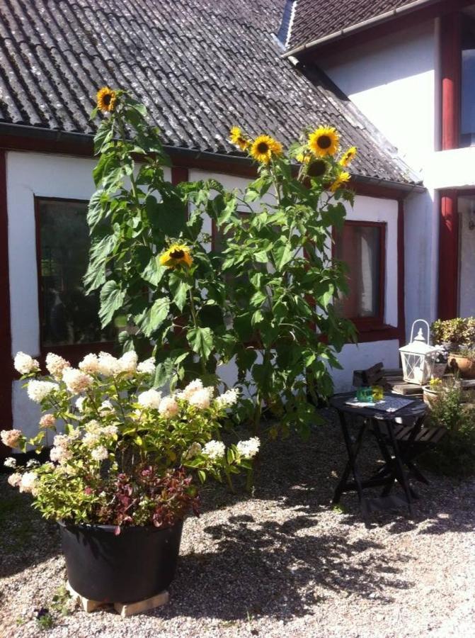 Praestogaard Bed & Breakfast ภายนอก รูปภาพ