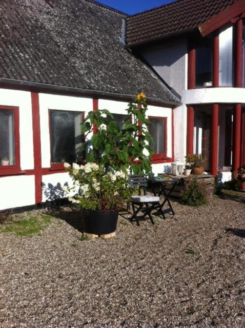 Praestogaard Bed & Breakfast ภายนอก รูปภาพ