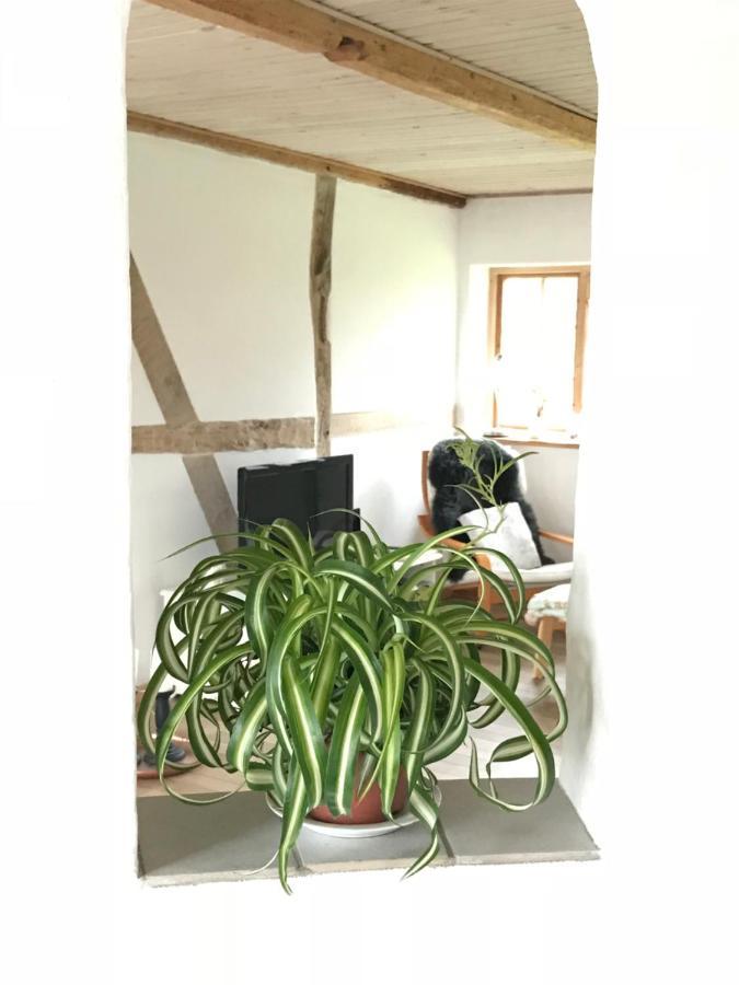 Praestogaard Bed & Breakfast ภายนอก รูปภาพ